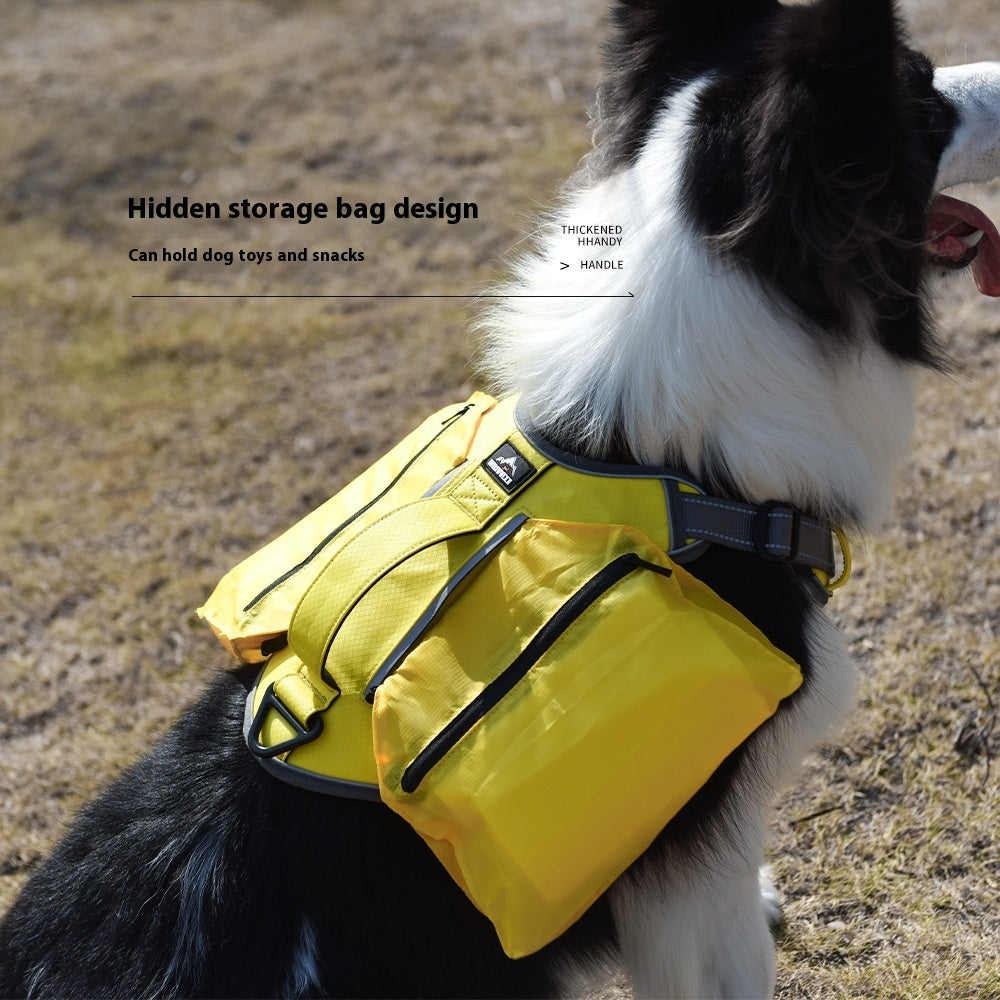 Pet Seat Belt